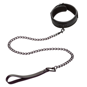 Nocturnal Collection  Collar and Leash - Black SE2678103