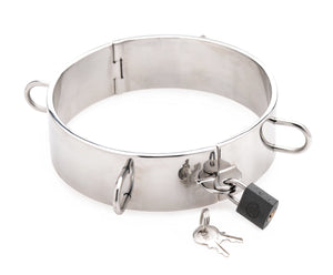 Stainless Steel Collar - 4.5 Inch MS-AF527-4